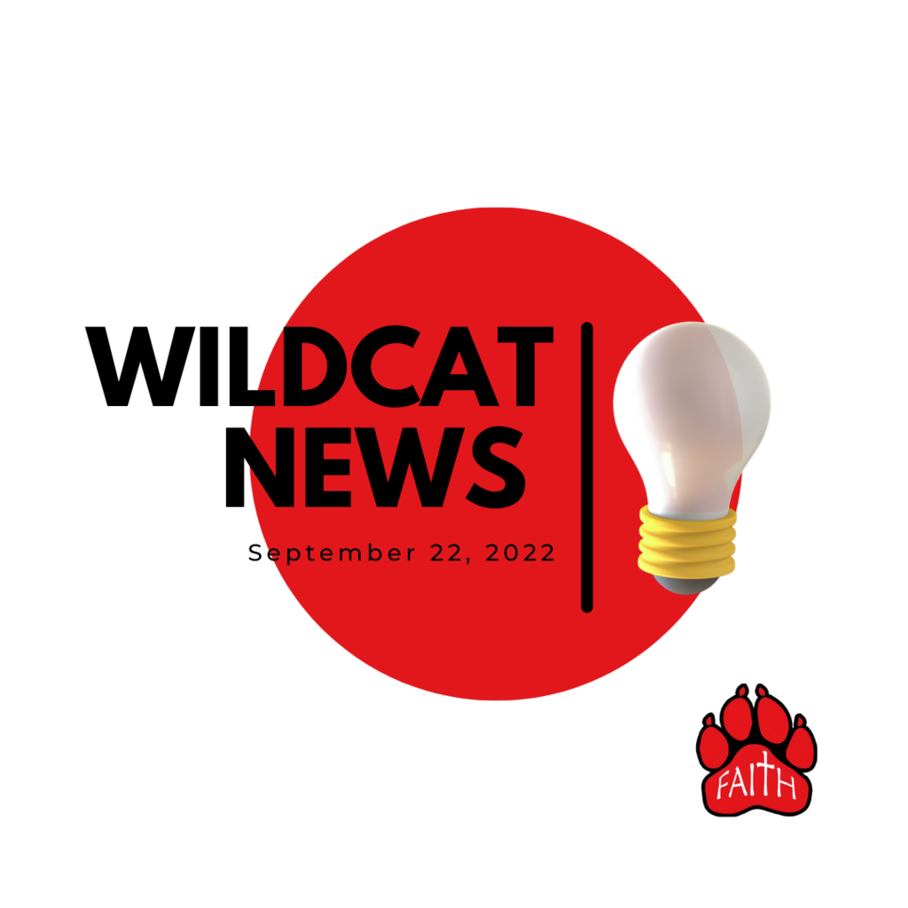 wildcat news